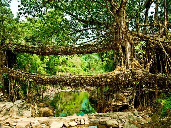 இயற்கை அமைத்துத் தந்த இரட்டைப் பாலம்