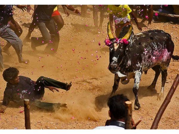 பல்லவராயன்பட்டி கம்பம்