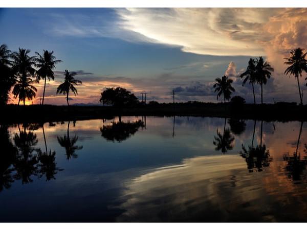 சிலிகா ஏரி, ஒரிசா