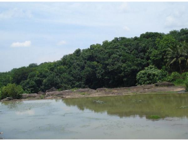 கோதையாறு