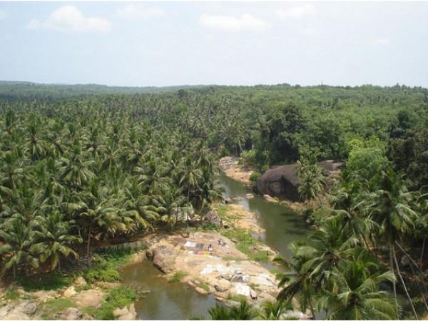 பரளியாறு
