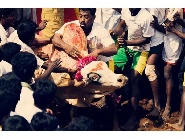 திருவாபூர் புதுக்கோட்டை