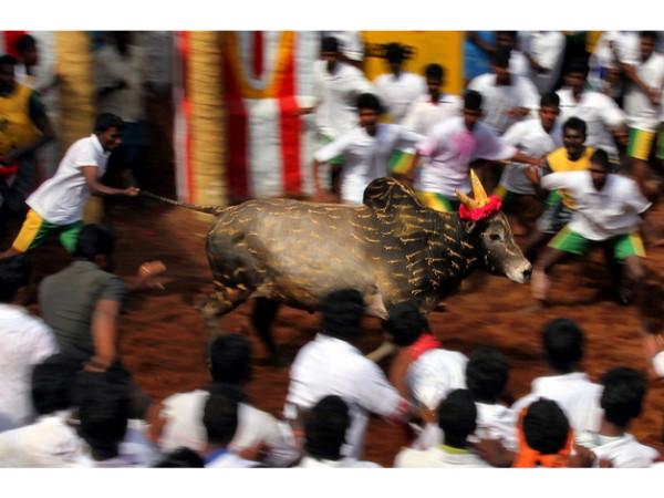 தம்மம்பட்டி சேலம்