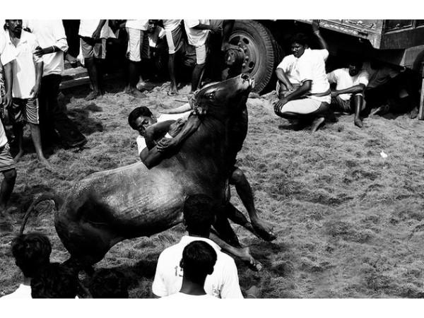 கண்டுப்பட்டி சிவகங்கை