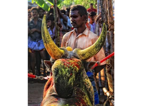 வேந்தான்பட்டி புதுக்கோட்டை