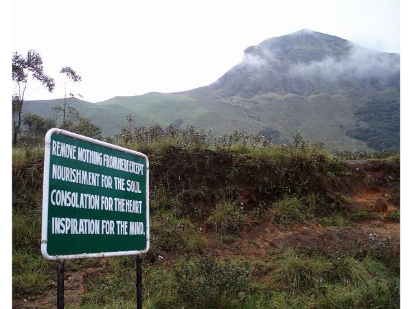 எரவி குளம் தேசிய பூங்கா