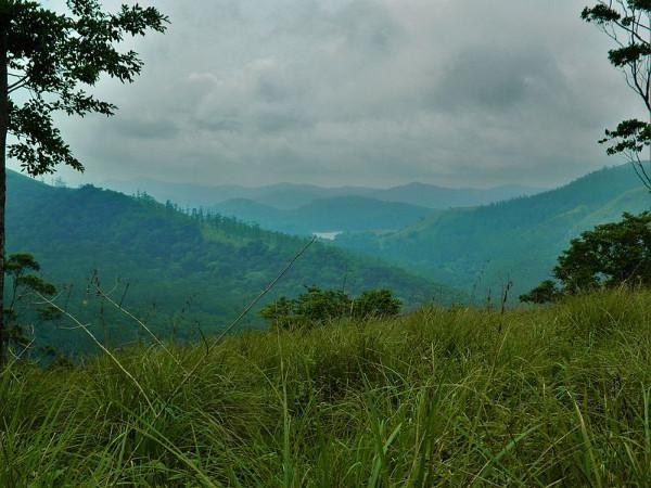 பெரியார் பூங்காவின் அற்புத காட்சி