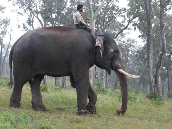 மதிகெட்டான் சோலை தேசிய பூங்கா