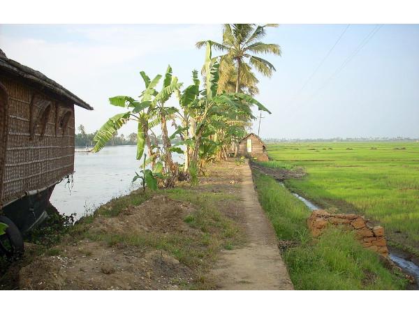 செழித்தோங்கும் விவசாயம்