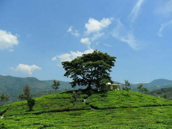 நீலகிரியில் ஒரு மிதிவண்டி பயணம்