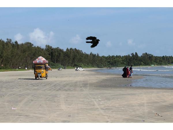 கடற்கரையின் அழகிய காட்சி