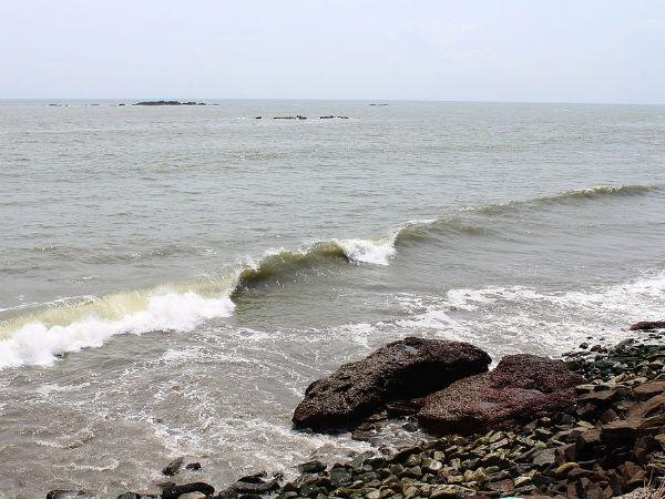 முழப்பிலங்காட்டின் அழகியத் தோற்றம்