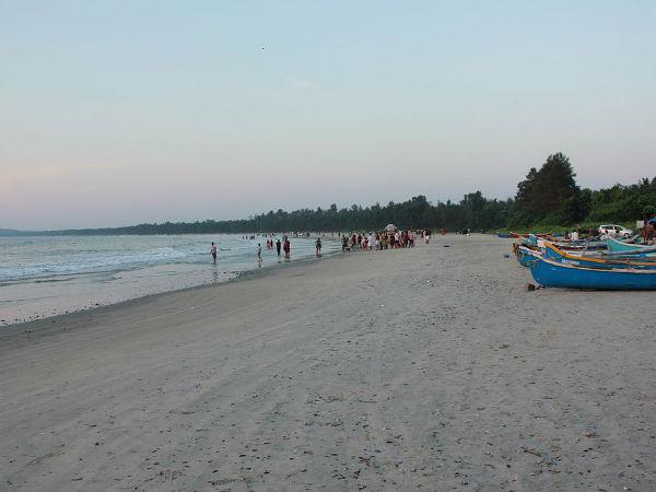 முழப்பிலங்காட்டின் அழகியத் தோற்றம்