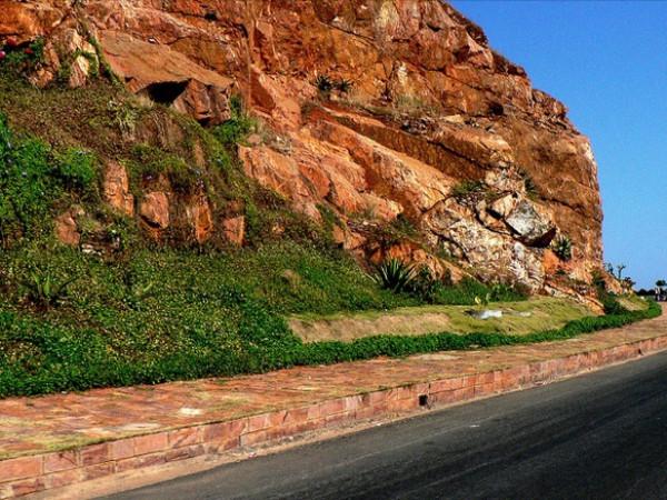 விசாகாவ பாத்துருக்கீங்களா?
