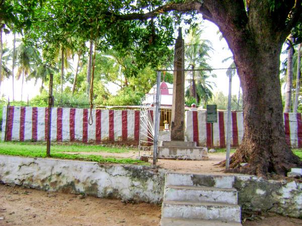 தாவணகெரேயில் செய்ய வேண்டிய ஐந்து விஷயங்கள்: