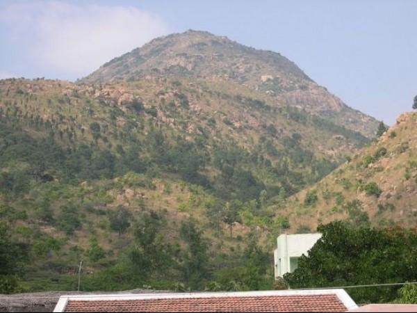திருவண்ணாமலை