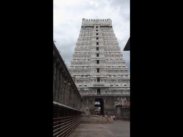 அருணகிரிநாதர் தற்கொலை செய்துகொண்டார்?