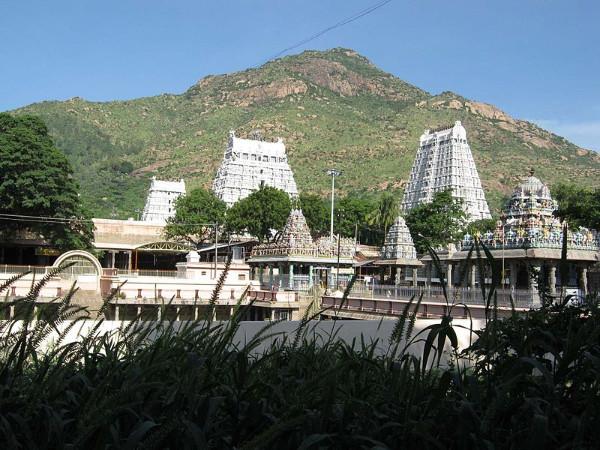 இம்மலையில் இவ்வளவு மகிகை ஒளிந்துள்ளதா?