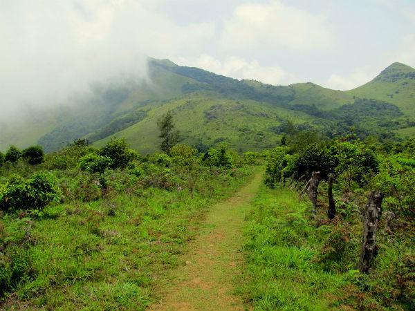கூர்க்