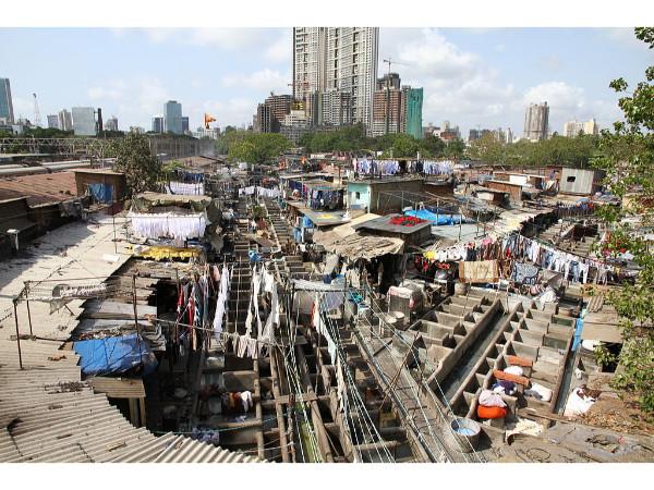 100 கோடி வருமானம்