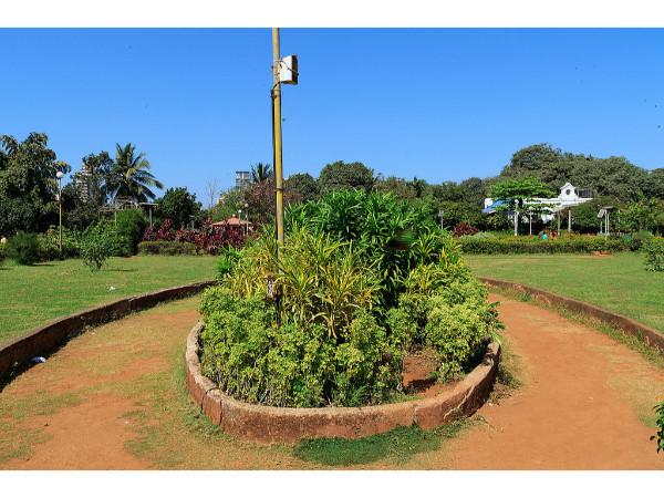 கார்டனின் மற்றொரு படம்