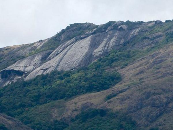 dhonihills dhonihills