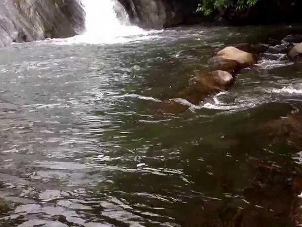 dhonihills dhonihills