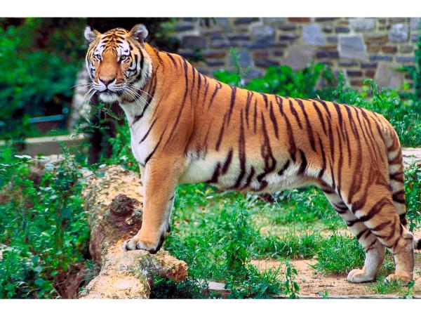 அருகிலுள்ள சுற்றுலாத் தளங்கள்