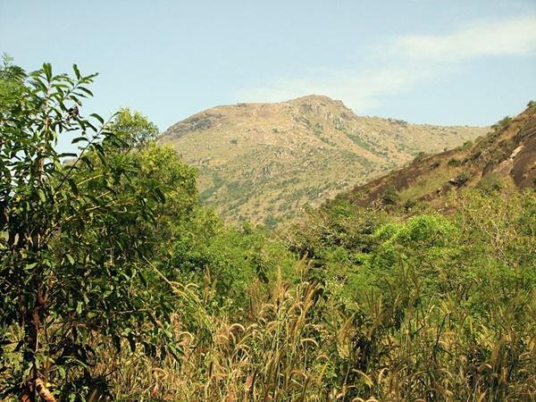 உதயகிரிக் கோட்டை