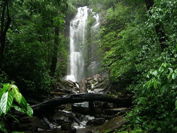 ஹிட்லுமானே அருவி, கோடசத்ரி :