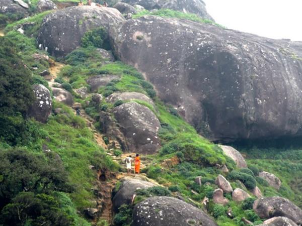 அர்ச்சுனன் வில்