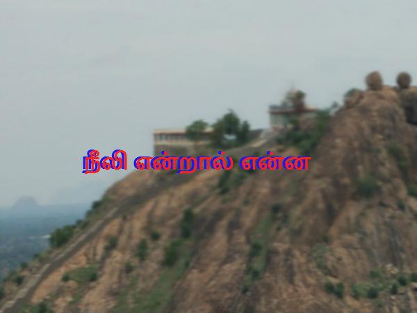 நீலி என்றால் என்ன