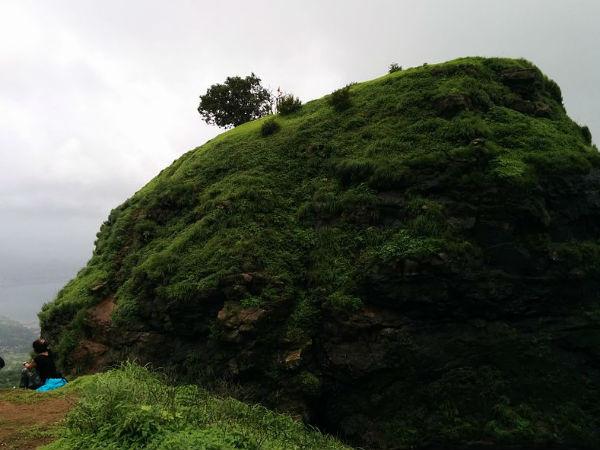 சுமார் 30 நிமிடங்கள்