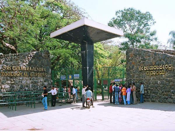 சொந்த வாகனத்தில் பயணிப்பவர்களுக்கு