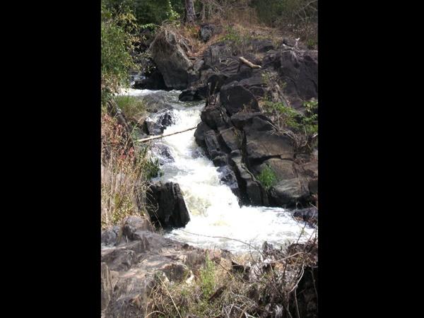 கூடலூரை கடந்து கர்நாடகா