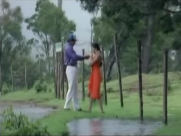 பசுமை நிறைந்த இடம்