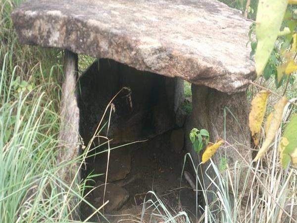 குள்ளர்களின் வீடுகள்