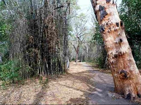 கேரளத்தில் சுற்றுலா