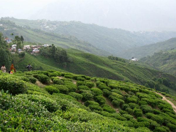 டார்ஜிலிங் - மலைகளின் ராணி