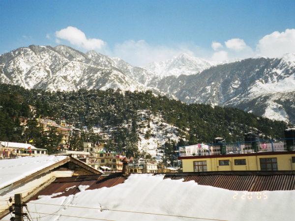 மெக்லியோட் கஞ்ச்