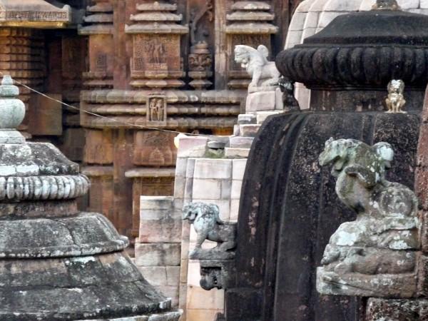 மற்றவர்களுக்கும் வழி இருக்கு!
