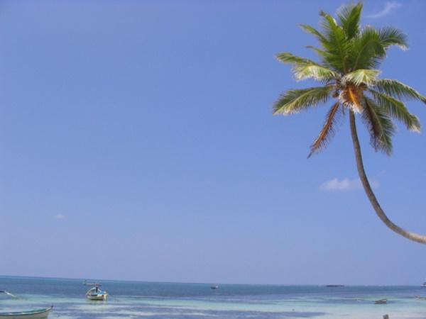 லட்சத்தீவில் கடற்கரை திருமணம்