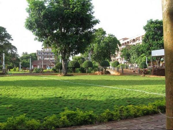 மார்கோவ்