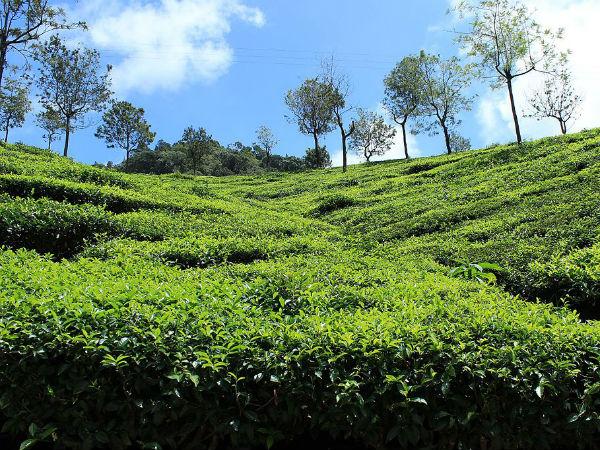 குன்னூரை நாம் காண ஏதுவான மாதங்கள் யாவை?