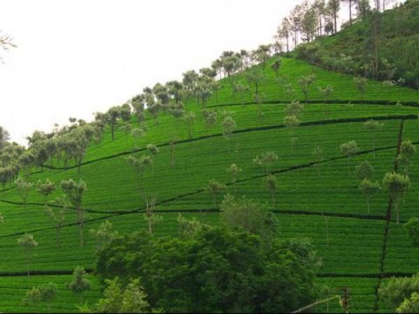 நீங்கள் கட்டாயம் பார்க்கவேண்டிய இடங்கள்