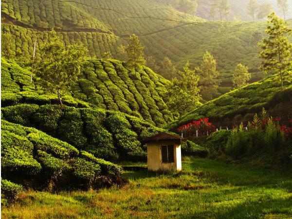மூணாறு