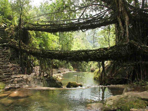 சிரபுஞ்சி