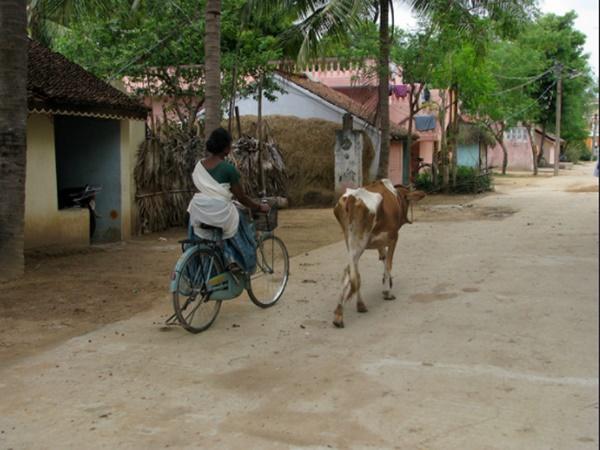 ஊரின் சிறப்பு