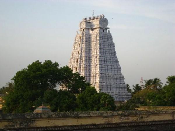இத்தனை இறப்புகளுக்கு காரணம் என்ன?