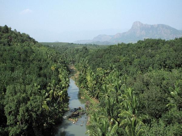 என்ன காரணம்